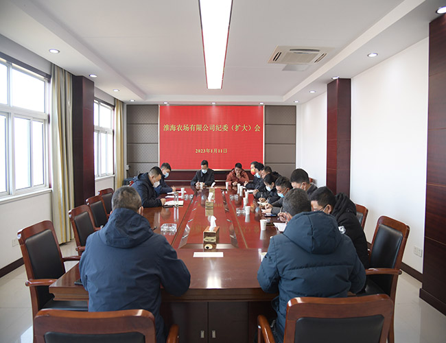 淮海農(nóng)場公司召開紀委擴大會議.jpg