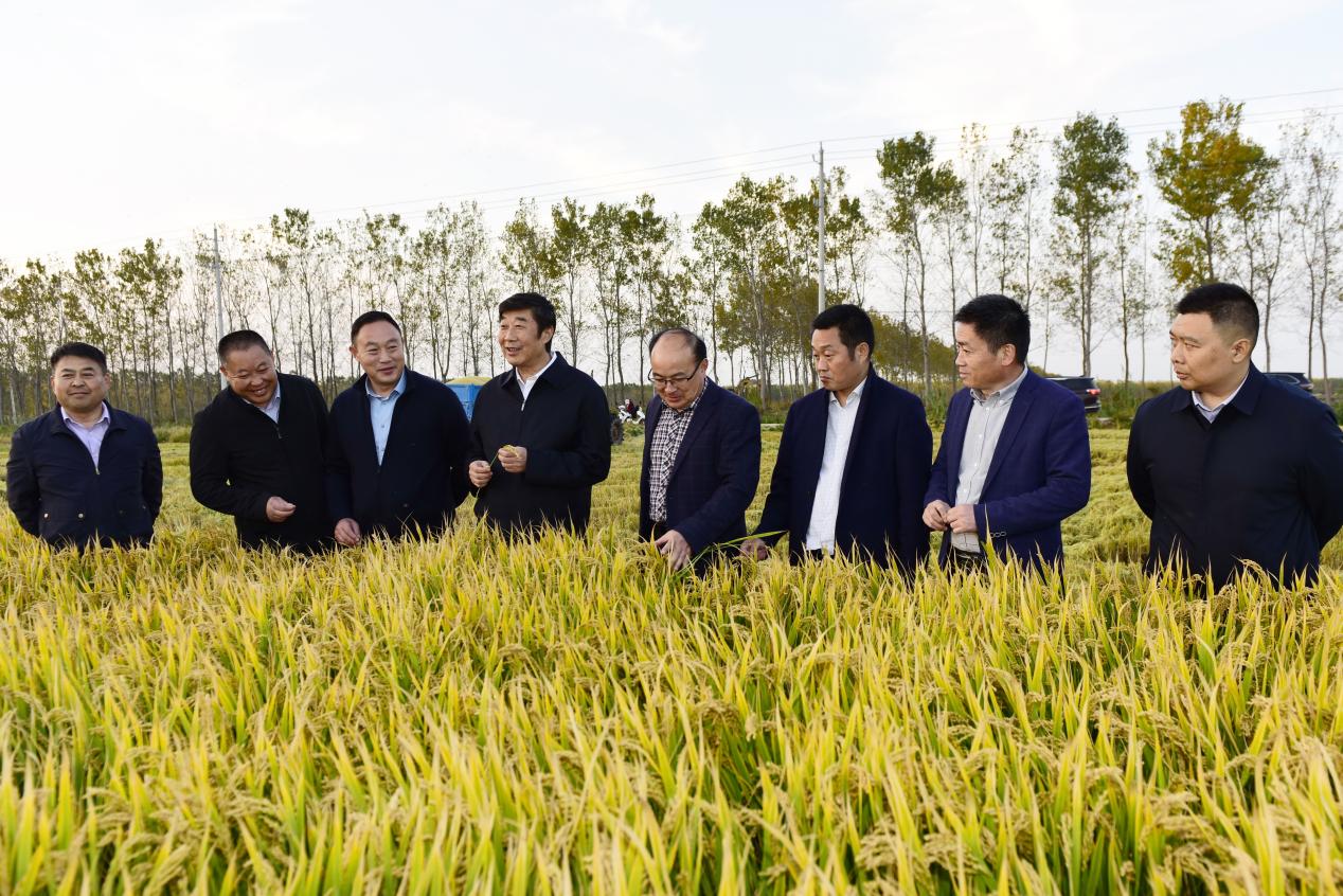 胡兆輝到淮海考察調研.jpg