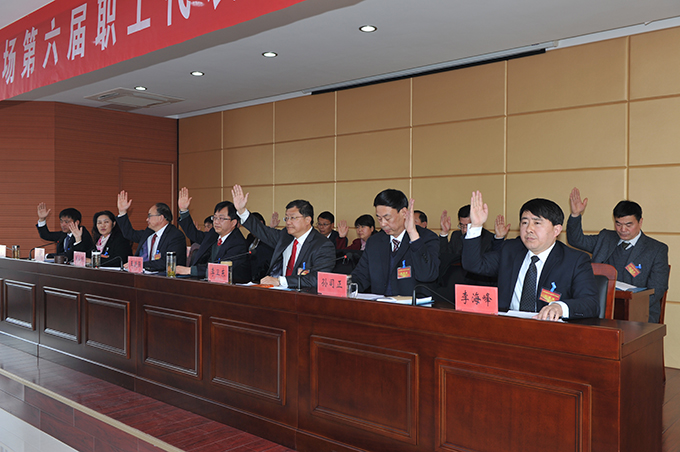 江蘇省淮海農(nóng)場(chǎng)召開六屆九次職代會(huì)5.jpg