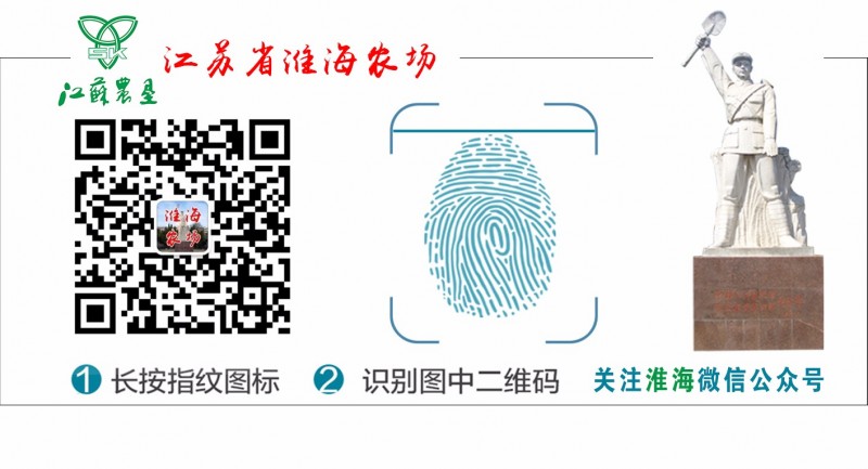 江蘇省淮海農(nóng)場舉辦第十一屆廣場文化節(jié)28.jpg